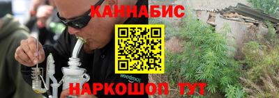 гашик Будённовск