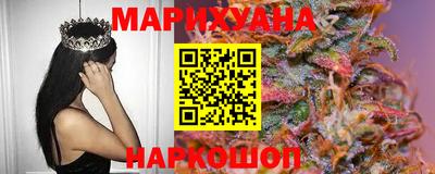 гашик Будённовск