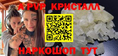 гашик Будённовск