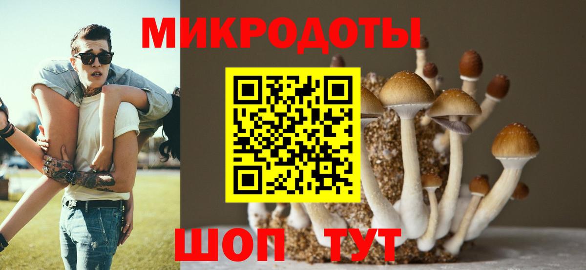 Советск  Псилоцибиновые грибы Psilocybine cubensis  Вход с VPN 